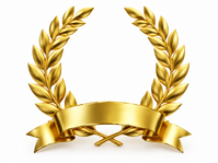 Customer Satisfaction Excellence